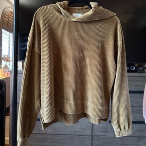 Aerie velour sweatshirt
